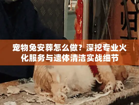 宠物兔安葬怎么做？深挖专业火化服务与遗体清洁实战细节