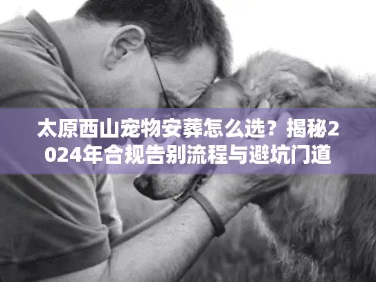 太原西山宠物安葬怎么选？揭秘2024年合规告别流程与避坑门道
