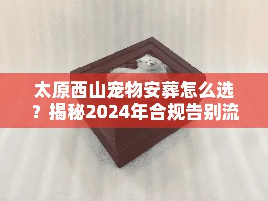 太原西山宠物安葬怎么选？揭秘2024年合规告别流程与避坑门道