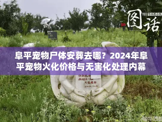 阜平宠物尸体安葬去哪？2024年阜平宠物火化价格与无害化处理内幕