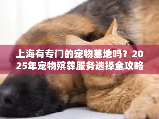 上海有专门的宠物墓地吗？2025年宠物殡葬服务选择全攻略