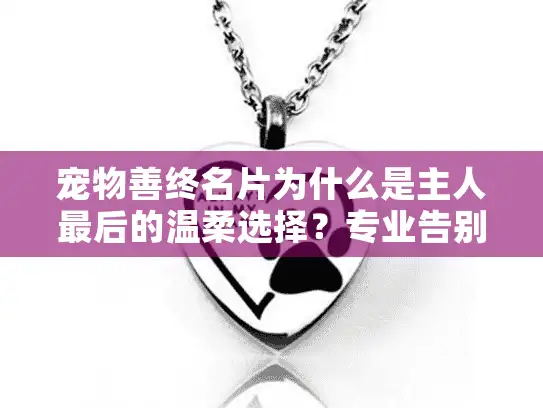 宠物善终名片为什么是主人最后的温柔选择？专业告别指南
