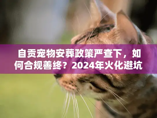 自贡宠物安葬政策严查下，如何合规善终？2024年火化避坑实录