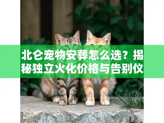 北仑宠物安葬怎么选？揭秘独立火化价格与告别仪式避坑细节