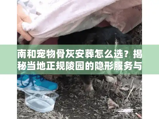 南和宠物骨灰安葬怎么选？揭秘当地正规陵园的隐形服务与避坑细节