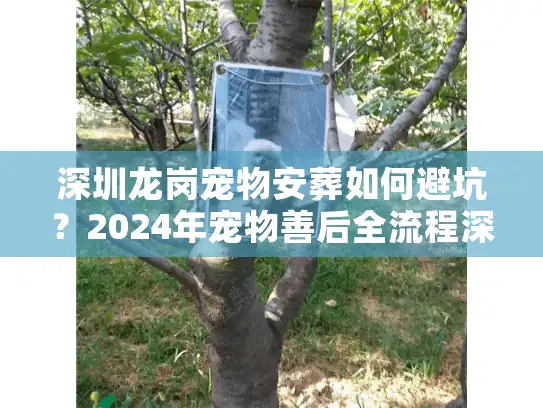 深圳龙岗宠物安葬如何避坑？2024年宠物善后全流程深度剖析