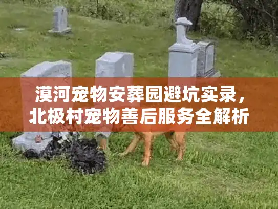 漠河宠物安葬园避坑实录，北极村宠物善后服务全解析
