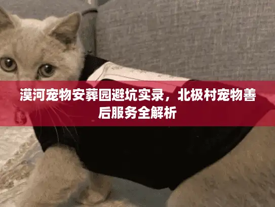 漠河宠物安葬园避坑实录，北极村宠物善后服务全解析
