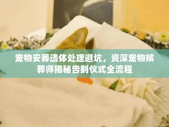 宠物安葬遗体处理避坑，资深宠物殡葬师揭秘告别仪式全流程