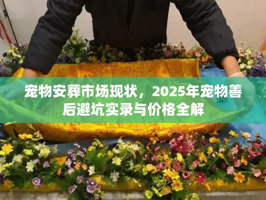 宠物安葬市场现状，2025年宠物善后避坑实录与价格全解