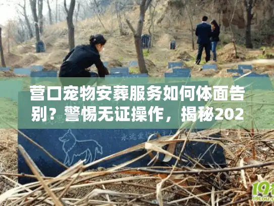 营口宠物安葬服务如何体面告别？警惕无证操作，揭秘2025正规流程
