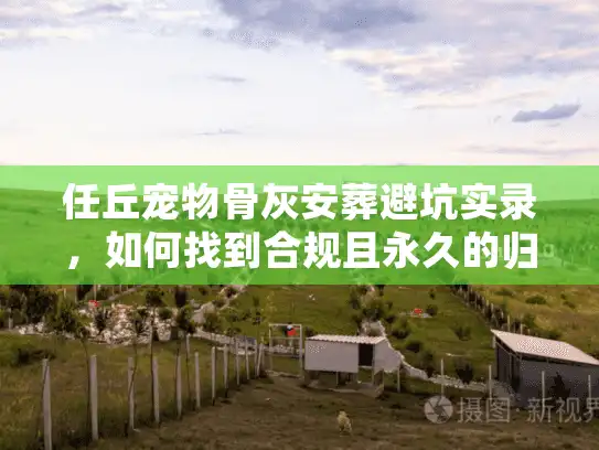 任丘宠物骨灰安葬避坑实录，如何找到合规且永久的归宿