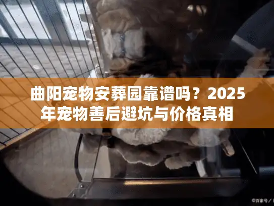 曲阳宠物安葬园靠谱吗？2025年宠物善后避坑与价格真相