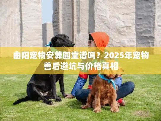 曲阳宠物安葬园靠谱吗？2025年宠物善后避坑与价格真相