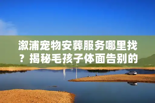 溆浦宠物安葬服务哪里找？揭秘毛孩子体面告别的真实流程
