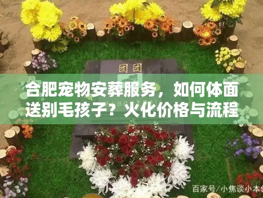 合肥宠物安葬服务，如何体面送别毛孩子？火化价格与流程深度揭秘