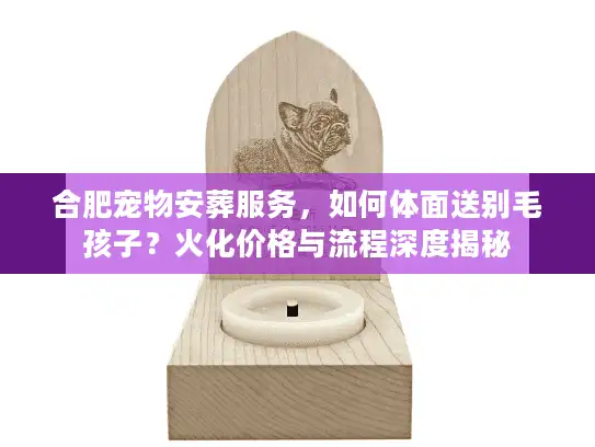 合肥宠物安葬服务，如何体面送别毛孩子？火化价格与流程深度揭秘