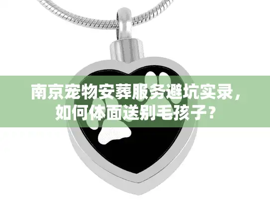 南京宠物安葬服务避坑实录，如何体面送别毛孩子？