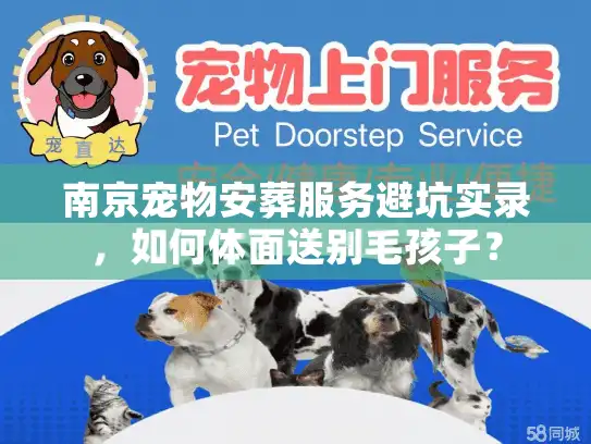 南京宠物安葬服务避坑实录，如何体面送别毛孩子？