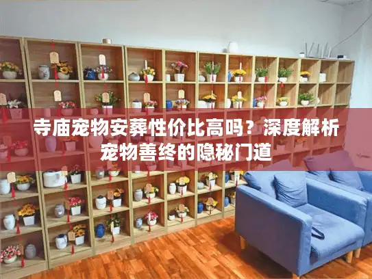 寺庙宠物安葬性价比高吗？深度解析宠物善终的隐秘门道