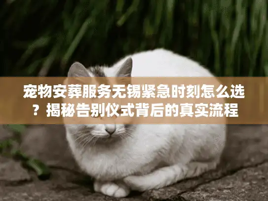 宠物安葬服务无锡紧急时刻怎么选？揭秘告别仪式背后的真实流程