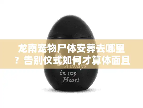 龙南宠物尸体安葬去哪里？告别仪式如何才算体面且合规