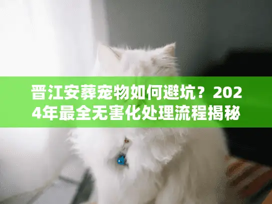 晋江安葬宠物如何避坑？2024年最全无害化处理流程揭秘
