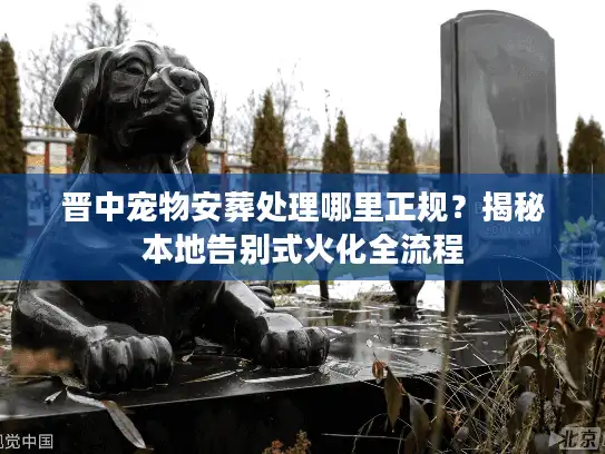 晋中宠物安葬处理哪里正规？揭秘本地告别式火化全流程