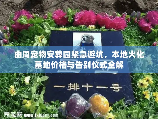 曲周宠物安葬园紧急避坑，本地火化墓地价格与告别仪式全解
