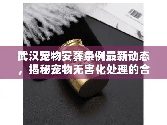 武汉宠物安葬条例最新动态，揭秘宠物无害化处理的合规门道
