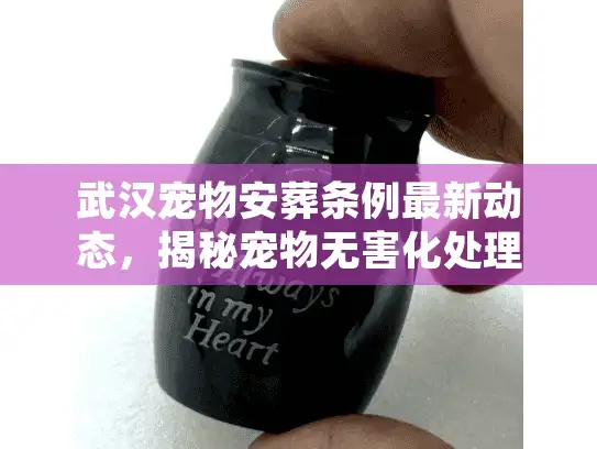 武汉宠物安葬条例最新动态，揭秘宠物无害化处理的合规门道