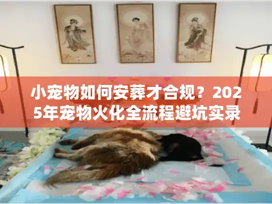 小宠物如何安葬才合规？2025年宠物火化全流程避坑实录