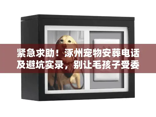 紧急求助！涿州宠物安葬电话及避坑实录，别让毛孩子受委屈