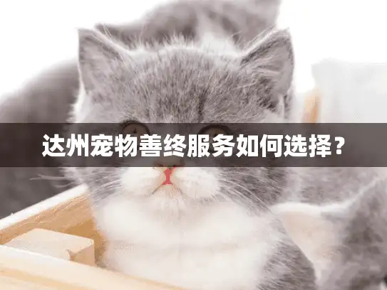 达州宠物善终服务如何选择？