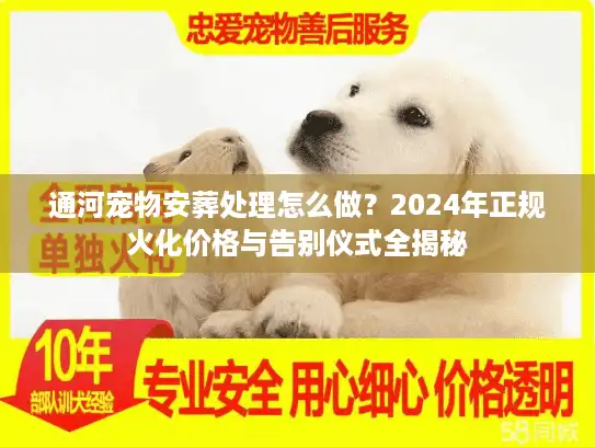 通河宠物安葬处理怎么做？2024年正规火化价格与告别仪式全揭秘
