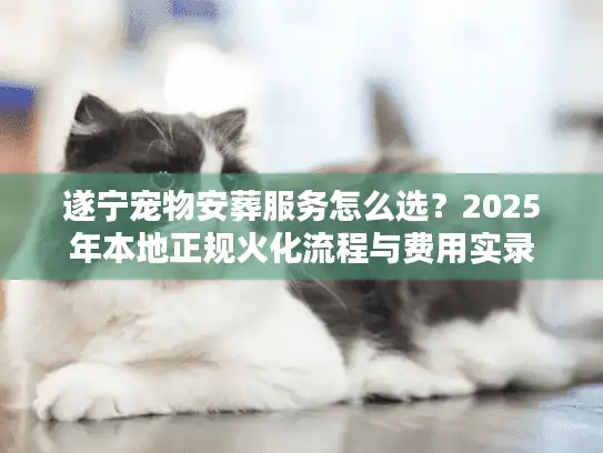 遂宁宠物安葬服务怎么选？2025年本地正规火化流程与费用实录