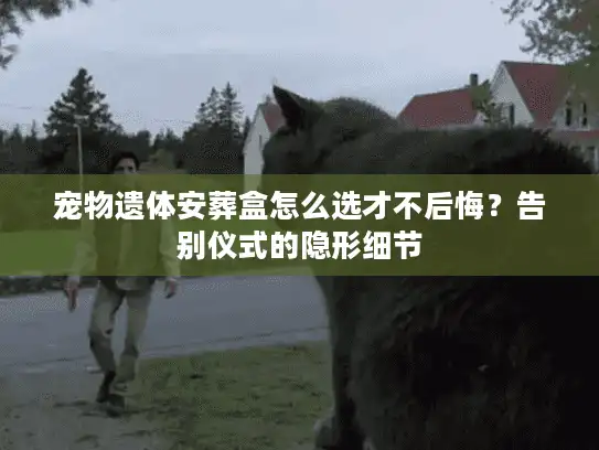 宠物遗体安葬盒怎么选才不后悔？告别仪式的隐形细节