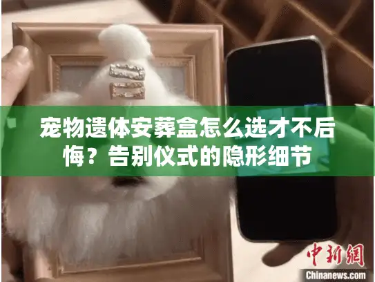 宠物遗体安葬盒怎么选才不后悔？告别仪式的隐形细节