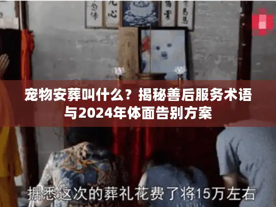 宠物安葬叫什么？揭秘善后服务术语与2024年体面告别方案