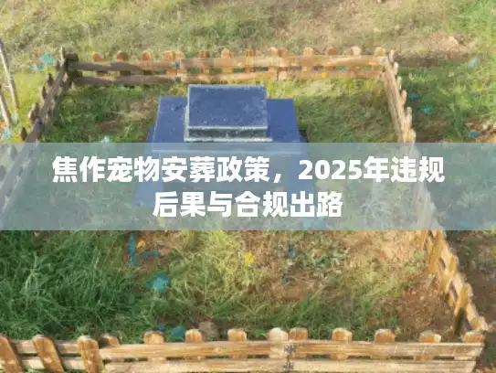 焦作宠物安葬政策，2025年违规后果与合规出路