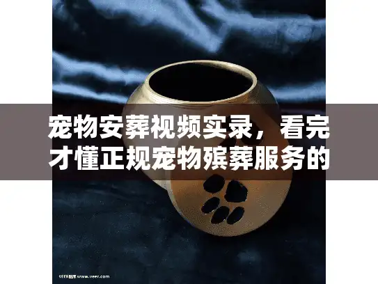 宠物安葬视频实录，看完才懂正规宠物殡葬服务的温柔告别