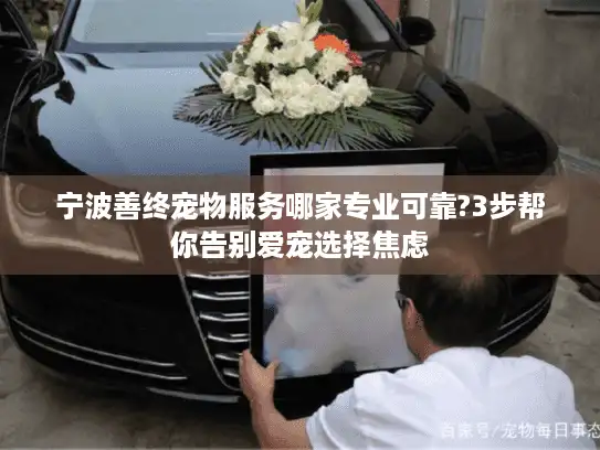 宁波善终宠物服务哪家专业可靠?3步帮你告别爱宠选择焦虑