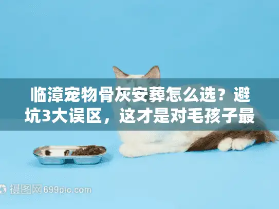 临漳宠物骨灰安葬怎么选？避坑3大误区，这才是对毛孩子最好的告别