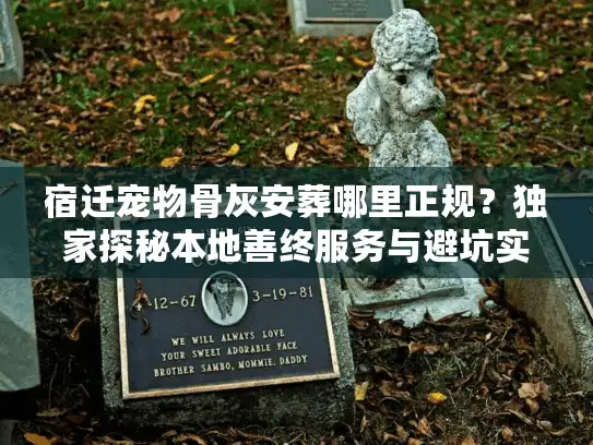宿迁宠物骨灰安葬哪里正规？独家探秘本地善终服务与避坑实录
