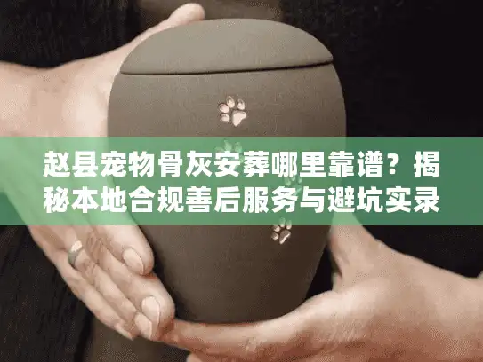赵县宠物骨灰安葬哪里靠谱？揭秘本地合规善后服务与避坑实录