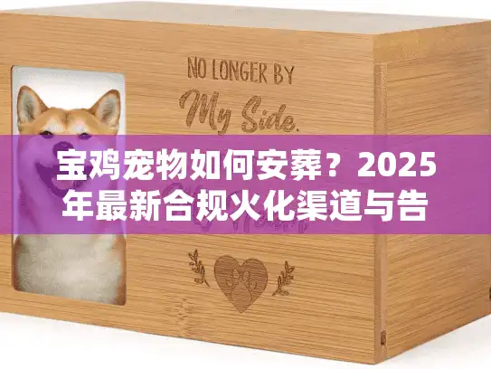 宝鸡宠物如何安葬？2025年最新合规火化渠道与告别仪式全解析