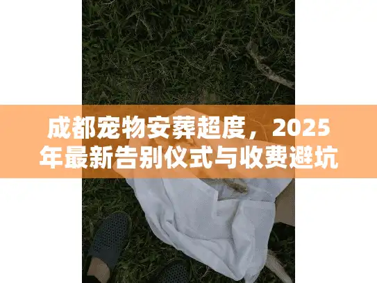 成都宠物安葬超度，2025年最新告别仪式与收费避坑实操