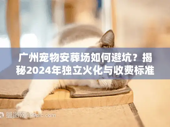 广州宠物安葬场如何避坑？揭秘2024年独立火化与收费标准