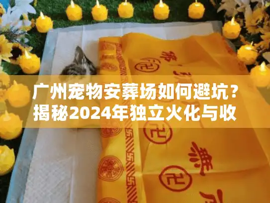 广州宠物安葬场如何避坑？揭秘2024年独立火化与收费标准