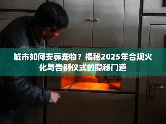 城市如何安葬宠物？揭秘2025年合规火化与告别仪式的隐秘门道